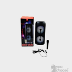 KTS-1269 Double 6.5 inch wireless High Quality Portable Speaker